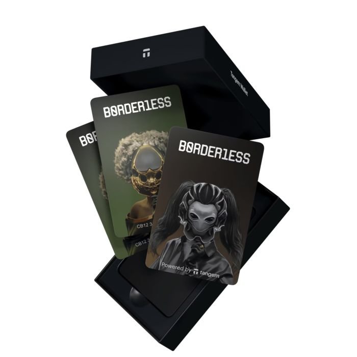 Криптокошелек Tangem 2.0 x B0RDER1ESS на 3 карты