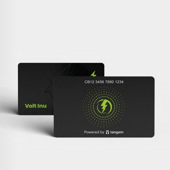 Криптокошелек Tangem 2.0 x Volt Inu на 3 карты