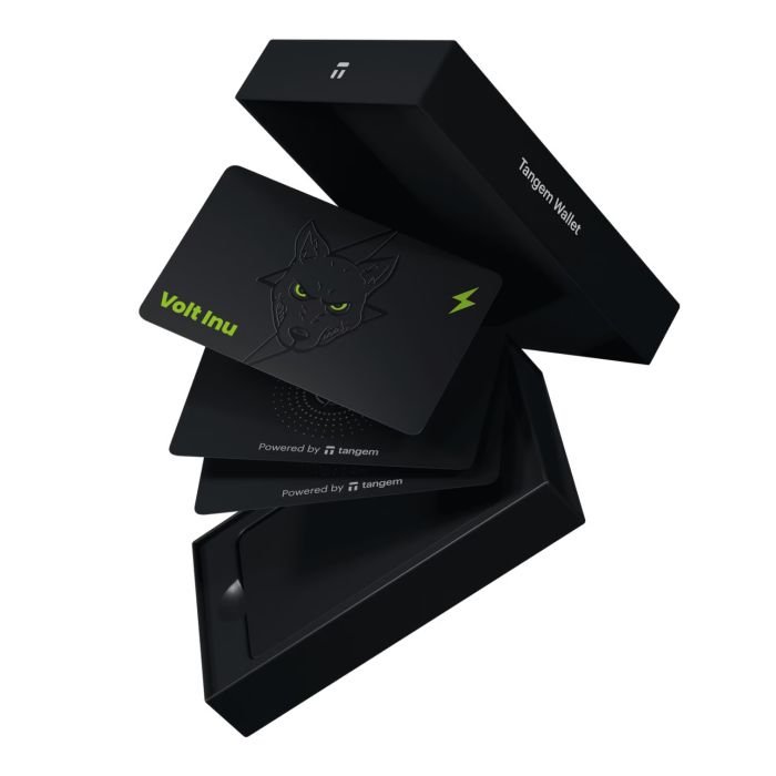 Криптокошелек Tangem 2.0 x Volt Inu на 3 карты